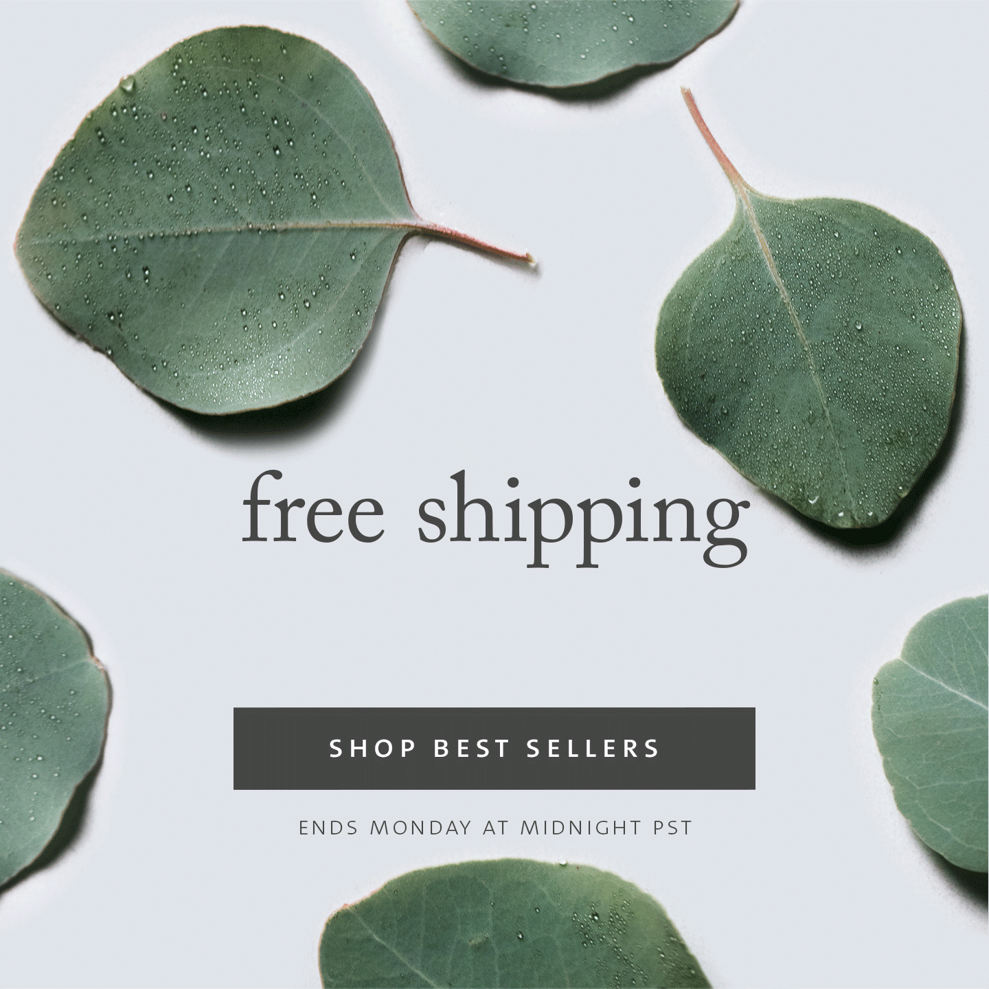 SAJE NATURAL WELLNESS CANADA Free Canadian Shipping Easter Weekend Only!